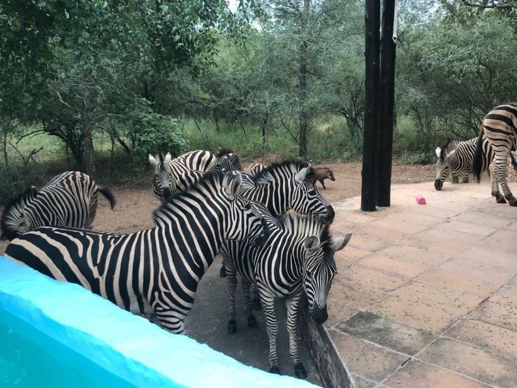 Mopani Manor Villa Marloth Park Ngoại thất bức ảnh